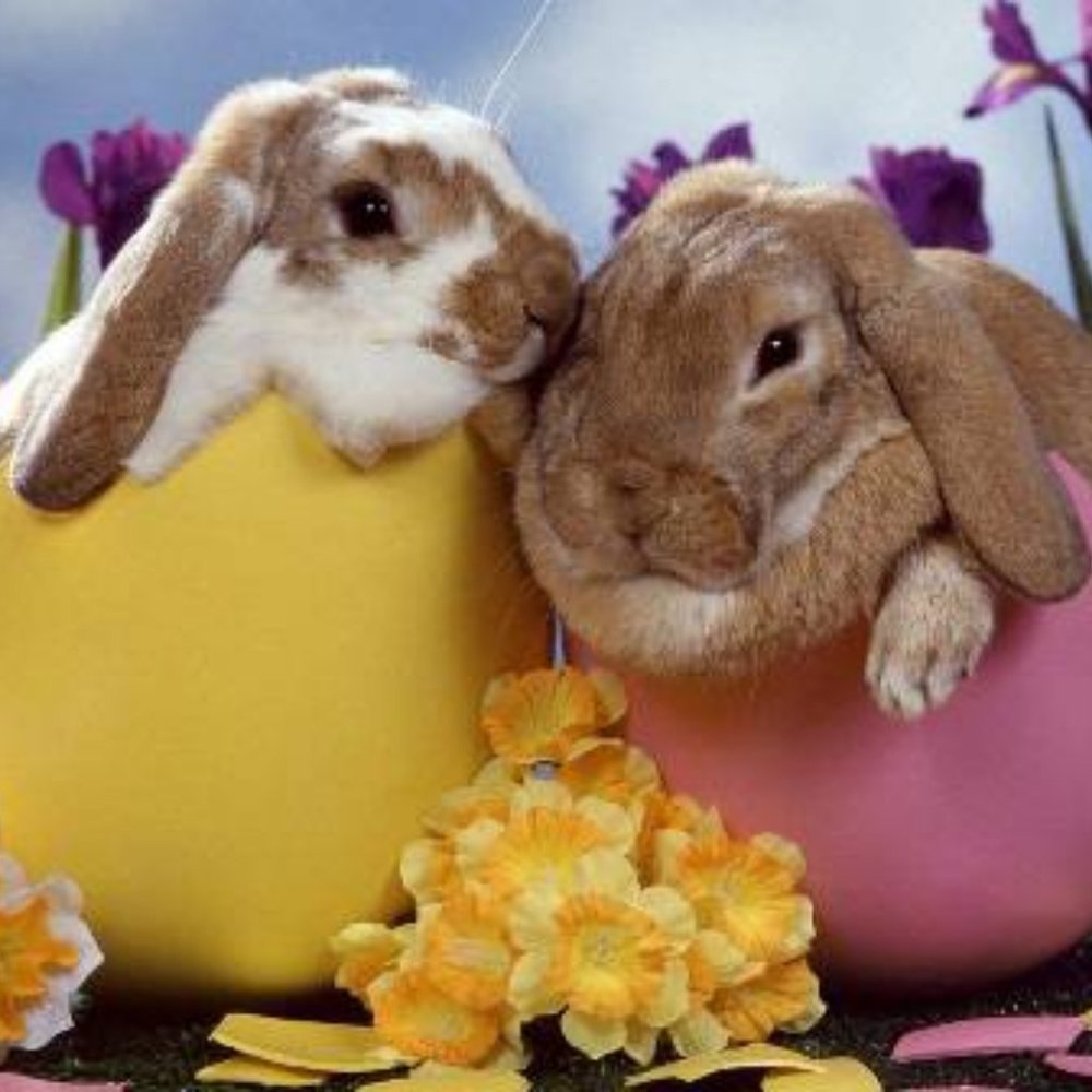 Easter